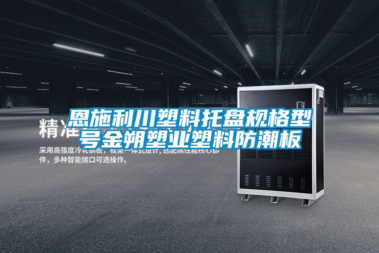 恩施利川塑料托盤(pán)規(guī)格型號(hào)金朔塑業(yè)塑料防潮板