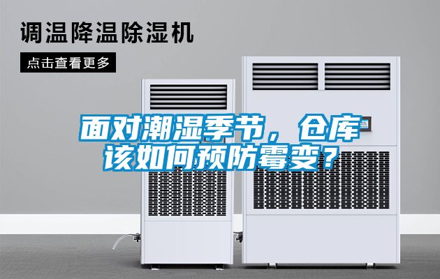 面對潮濕季節(jié)，倉庫該如何預防霉變？