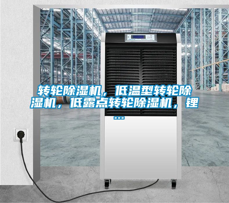 轉輪除濕機，低溫型轉輪除濕機，低露點轉輪除濕機，鋰 ...