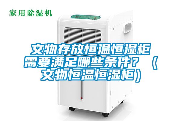 文物存放恒溫恒濕柜需要滿足哪些條件？（文物恒溫恒濕柜）
