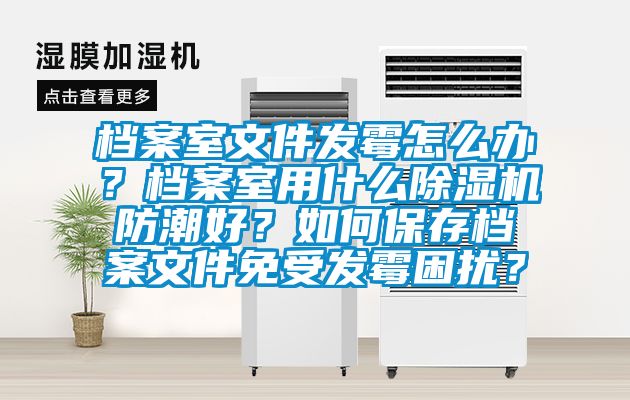檔案室文件發(fā)霉怎么辦？檔案室用什么除濕機防潮好？如何保存檔案文件免受發(fā)霉困擾？