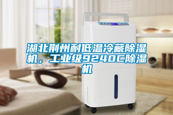 湖北荊州耐低溫冷藏除濕機(jī)，工業(yè)級(jí)9240C除濕機(jī)