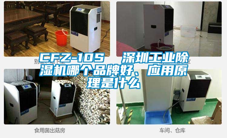 CFZ-10S  深圳工業除濕機哪個品牌好、應用原理是什么
